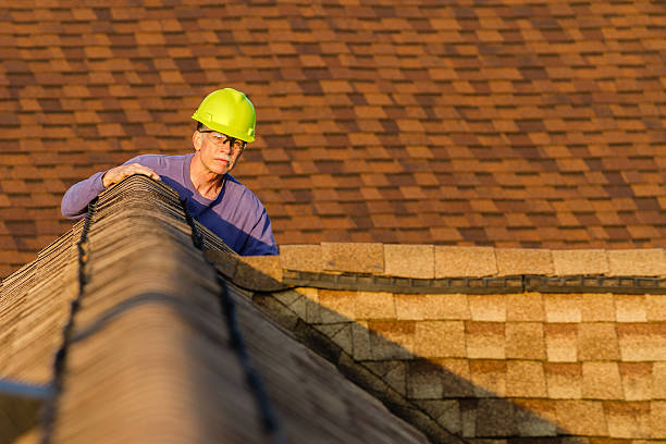 Best Storm Damage Roof Repair  in Lamar, SC